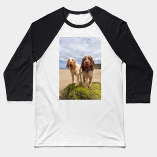 On a Rock at the beach Spinoni Baseball T-Shirt